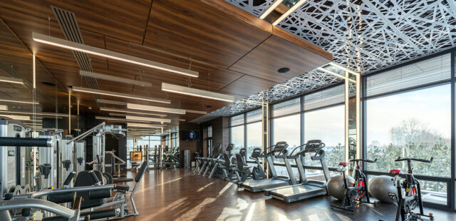Wellness Oasis: Acoustic Panels For Spa and Gyms