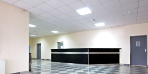 Not All Ceiling Tiles Are Created Equal Meet the Ones from Amazone by Furnitech | Amazone By Furnitech | Best Acoustic Ceiling Tiles In India