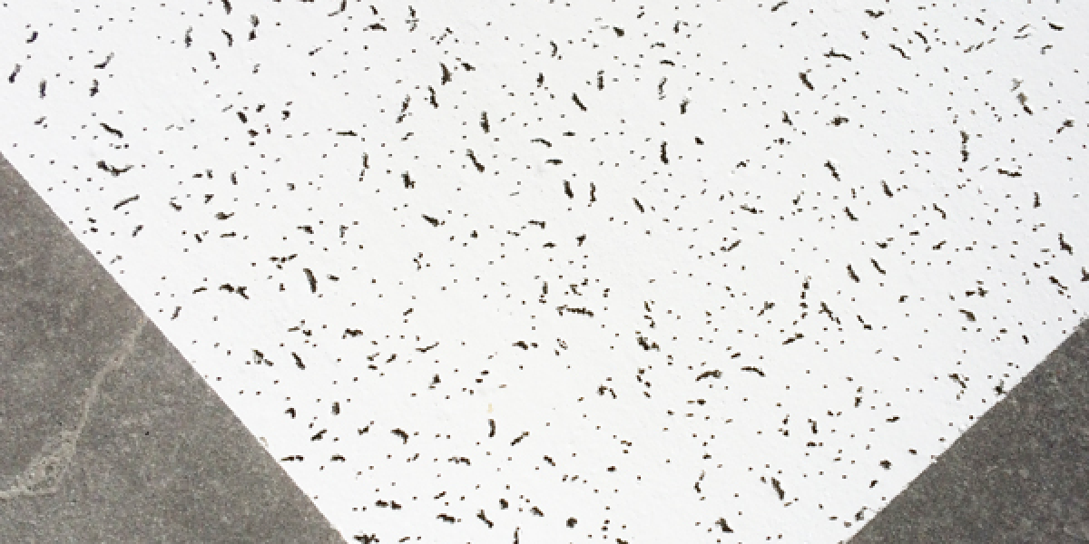 Mineral Fibre Acoustic Ceiling Tiles From Amazone By Furnitech